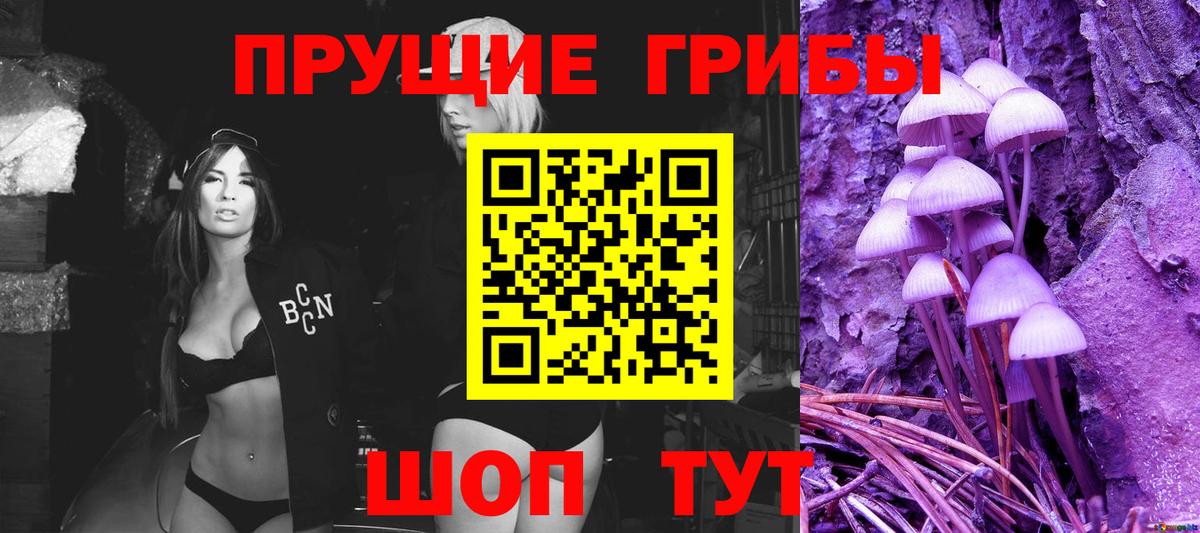 Галлюциногенные грибы Psilocybe Гулькевичи