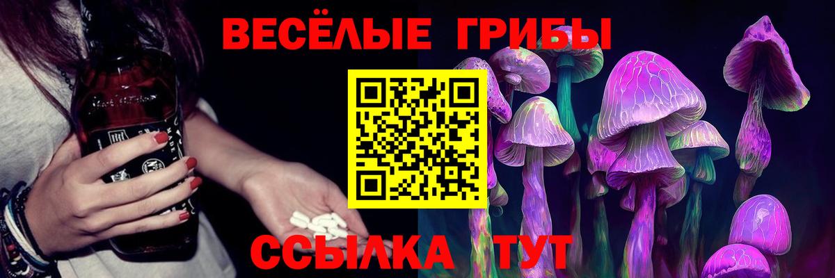 Гулькевичи  Галлюциногенные грибы Psilocybe  Вход с VPN 